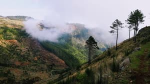 PTFNC - Funchal, Madeira, Portugal - Photo credit Alex Tudor.jpg Photo